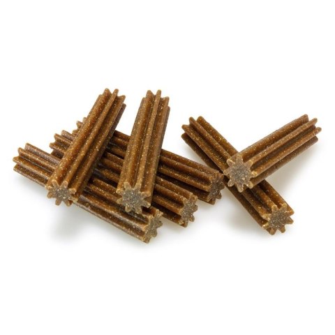 Arquivet ARQUIVET Dental Sticks Classic