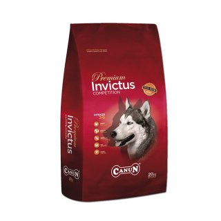 Canun Premium Canun Invictus 20kg karma premium dla psa z jagnięciną i rybą