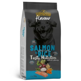 Divinus Divinus FLAVOUR DOG - łosoś z ryżem 18 kg