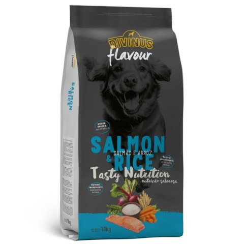 Divinus Divinus FLAVOUR DOG - łosoś z ryżem 18 kg