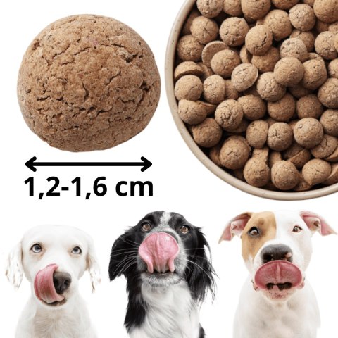Kraina Radolin Jeleń 1,2 kg rasy większe karma sucha pieczona 65% mięsa dla psów z alergia i nadwrażliwością